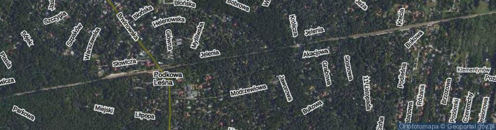 Zdjęcie satelitarne Akacjowa ul.